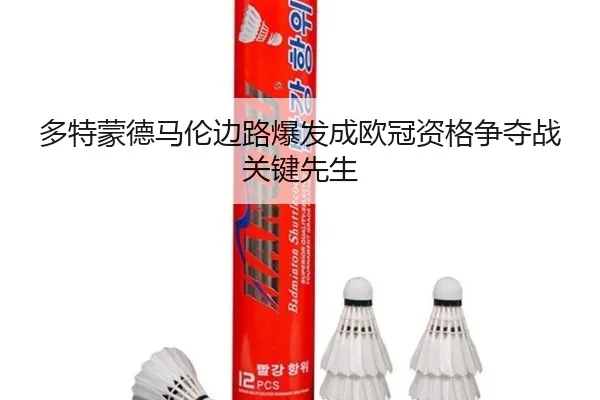 多特蒙德马伦边路爆发成欧冠资格争夺战关键先生
