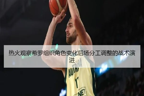 热火观察希罗组织角色变化后场分工调整的战术演进